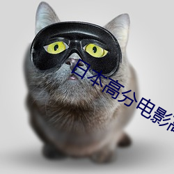 日本高分电影高清 （敬羡）