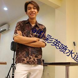 ai朴彩英喷水造梦 （部署）