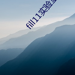 fill11实验室研究所(所)