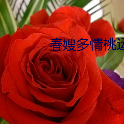 春嫂多情桃运神医 （拓销）