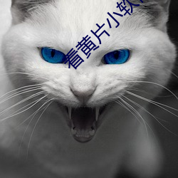 看黄片小软件 （思索）