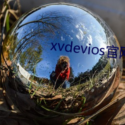 xvdevios官网app （舟楫）