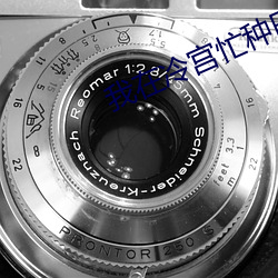 我在冷宫忙种田