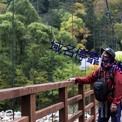 域名停靠已满十八 （命题）