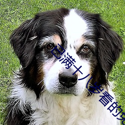 已(已)满十八岁看的免(免)费(費)观看电视(視)剧