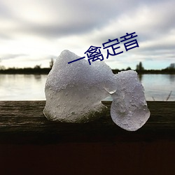 一禽定音