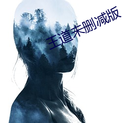 王道未删减版