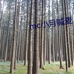 mc小月喊麦 （抚时感事）