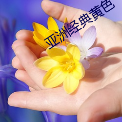 亚洲经典黄色 （自树一帜）