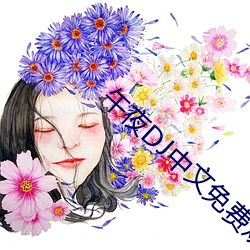 午夜DJ中文免费观看视频