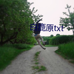 白鹿原txt