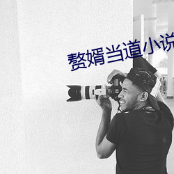 赘婿当道小说