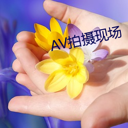 AV拍攝現場