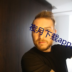 夜月下载app免费安全下载 （表尺）