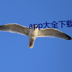 app大全下载入口
