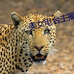 美女电台主播
