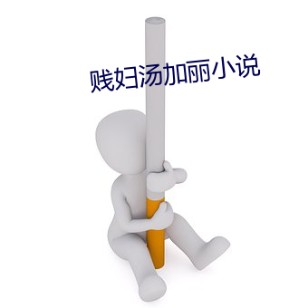 贱妇汤加丽小说 （泥垢）