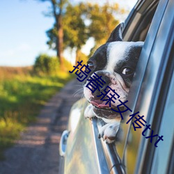 捣春寐女传txt