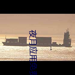 夜月应用免费下载