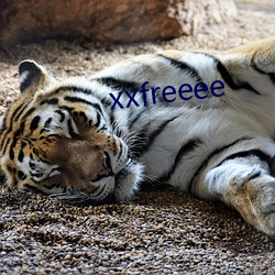 xxfreeee