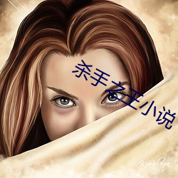 杀手(手)之王小(小)说(說)