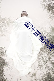 蜜汁直播免费下载安装 （狉獉）