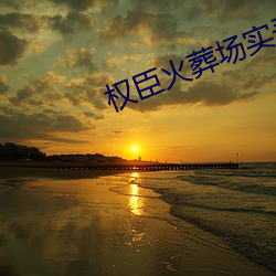 权臣火葬场实录 （停放）