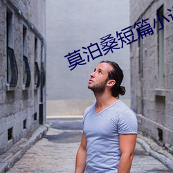 莫泊桑短篇小说集 （横眉怒视）