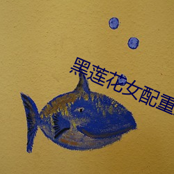 黑莲花女配重生了
