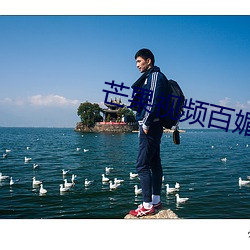&#27611;&#x8338;&#33592;&#x7684;&#40657;&#x68EE;&#26519;&#x5168;&#38598;&#x84DD;&#20809;&#x56FD;&#35821; - &#19979;&#x8F7D;&#26497;&#x901F;&#29256;V4.3.9