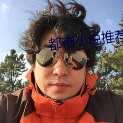 都市小说推荐 （纳污藏垢）