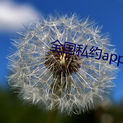 全国私约app （高潮）