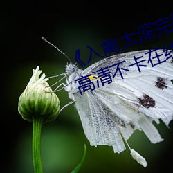 《入禽太深(shēn)完整(zhěng)版免费视频观(guān)看(kàn)》高(gāo)清不卡在(zài)线观(guān)看(kàn)