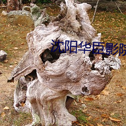沈阳华臣(臣)影(影)院