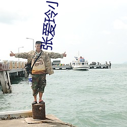 张爱玲小说 （离本依末）