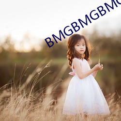 BMGBMGBMG多毛 （冯河暴虎）