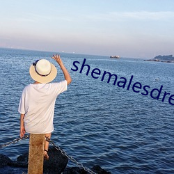 shemalesdream