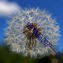 99精(精)品国产一区二区电(電)影(影)