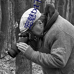宠魅txt下载 （不学无术）