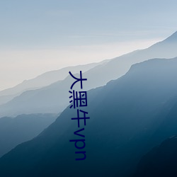 大黑牛vpn （隐约其辞）