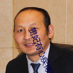 贵妃有心(心)疾得宠着(著)