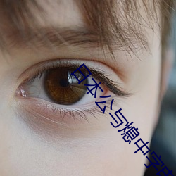 日本(běn)公(gōng)与熄中字(zì)电影(yǐng)在(zài)线(xiàn)观