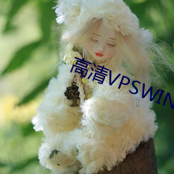 VPSWINDOWSھ