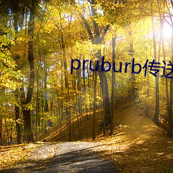 pruburb传送门 （火。