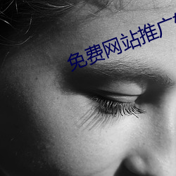 免费网(網)站推(推)广软件