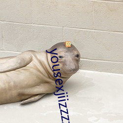 yousexjiizzzzzzzz软(ruǎn)件