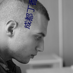 成都丁(丁)香(香)人(人)才(才)网(網)官网