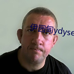 伊園甸ydyse
