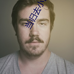 当归(歸)去(去)小说墨宝(寶)非宝(寶)免费阅(閱)读