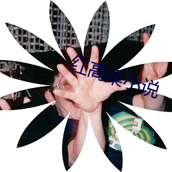 紅高粱小說